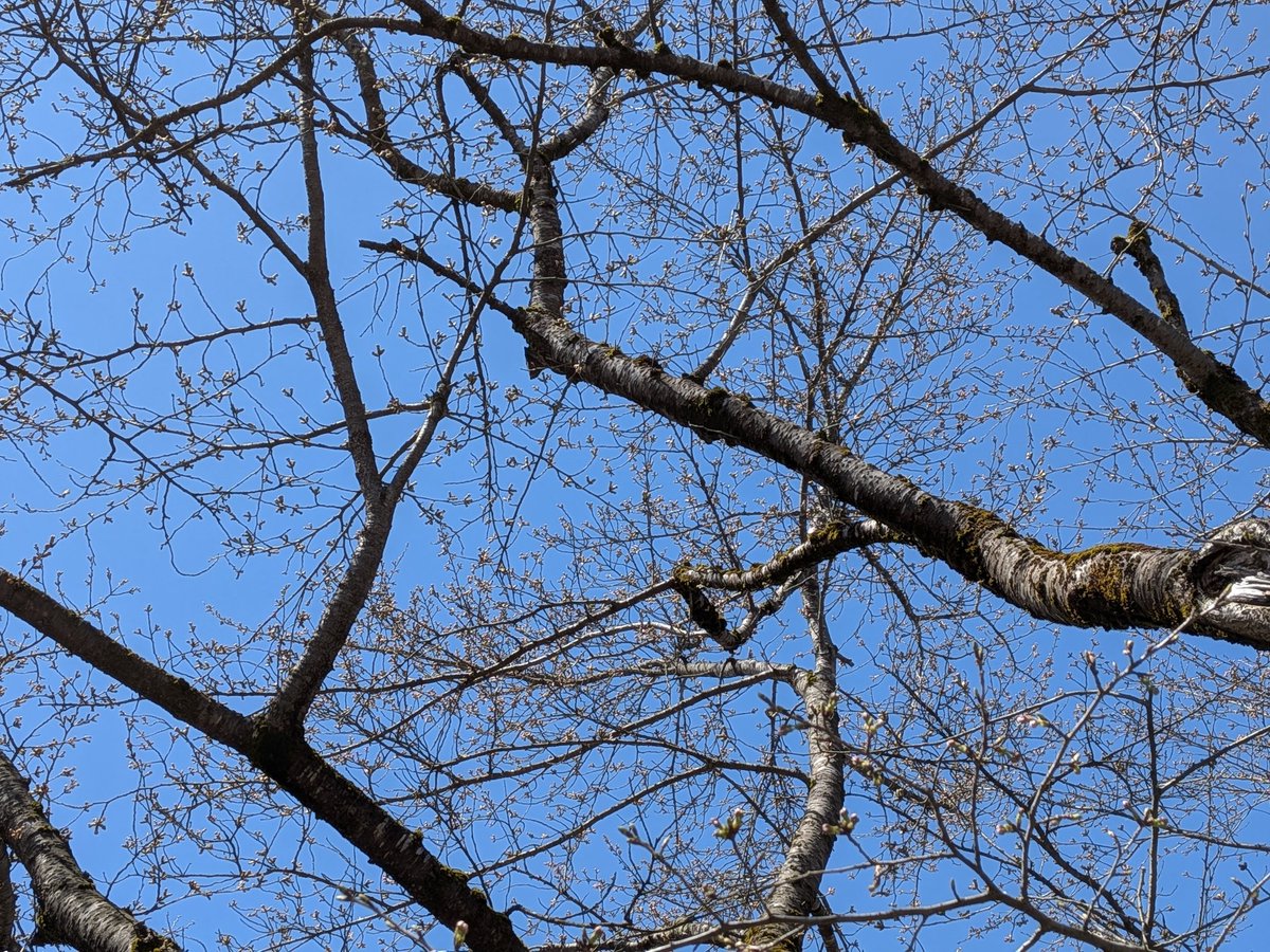 らぁじ tweet media