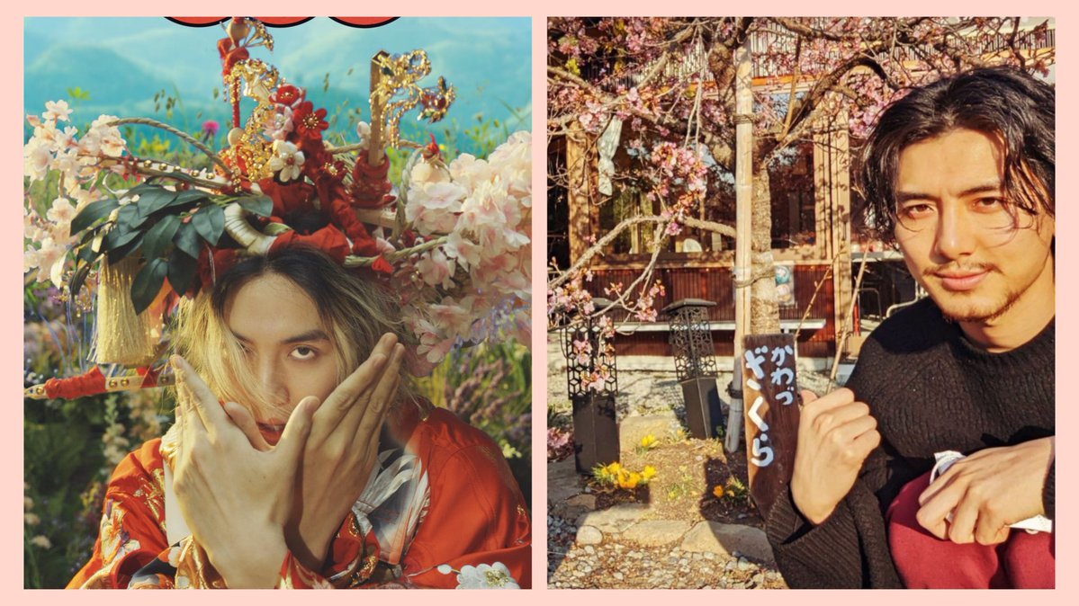 みみ🍀 tweet media