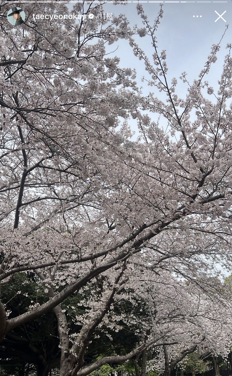 _minzero's tweet photo. 신산공원 가셨네🫣 https://t.co/aAvHhFmPOr