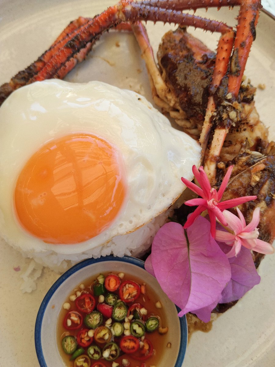 หนูน้อยหมวกแดง ° tweet media