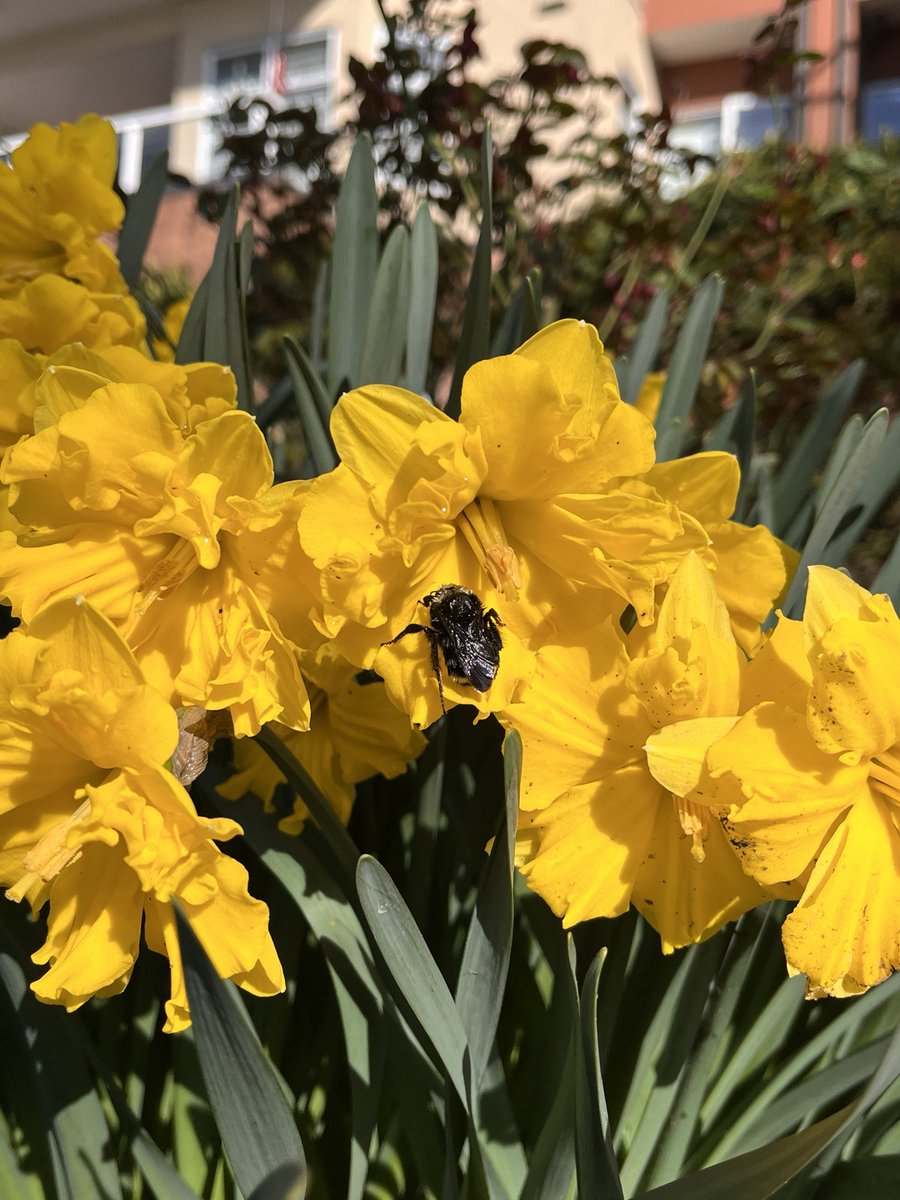 Spring is full of vitality🌼🍃🌿
Good morning  Monday🌼🍃🌿

📸🌼