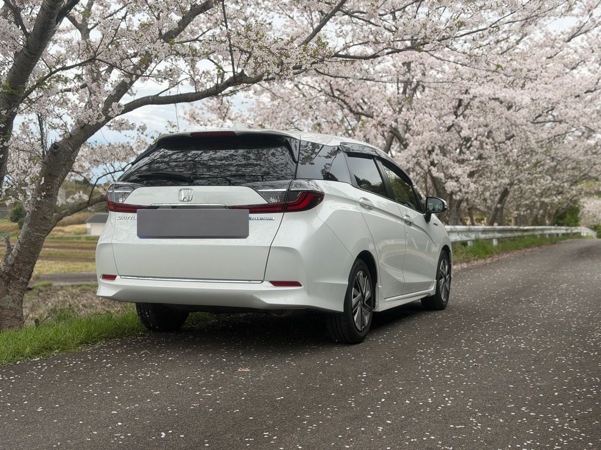 ふじぴー tweet media