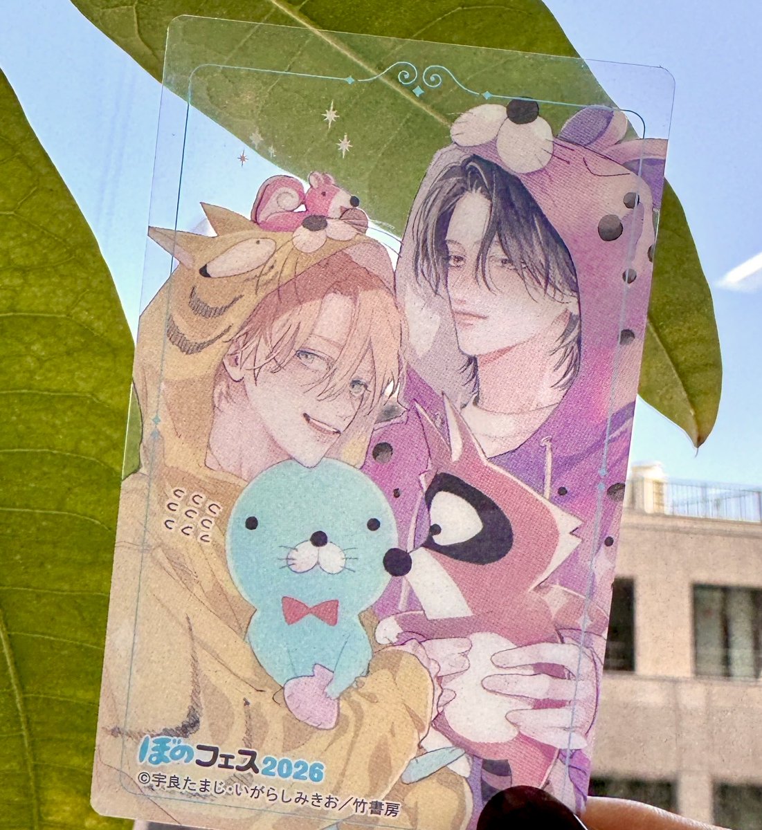 竹書房 Qpa［クパ］編集部 tweet media