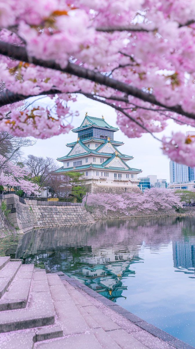 Beauty of Nature. tweet media