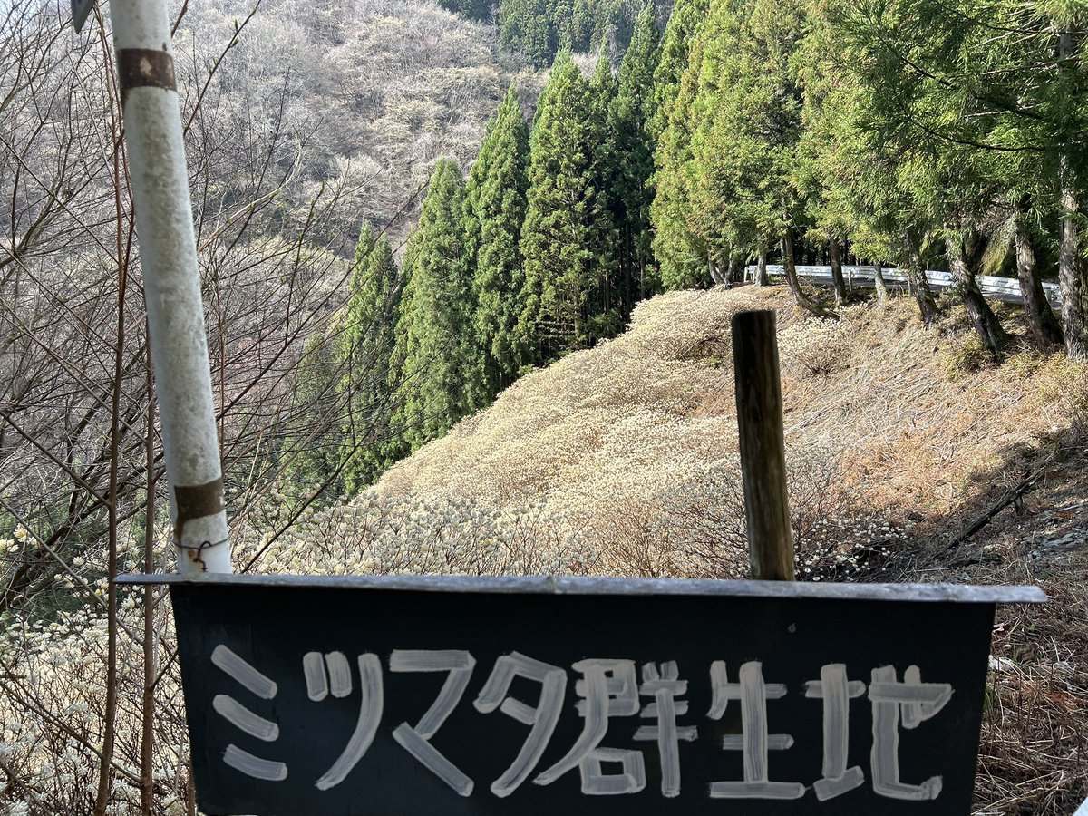 ヨシナガ tweet media