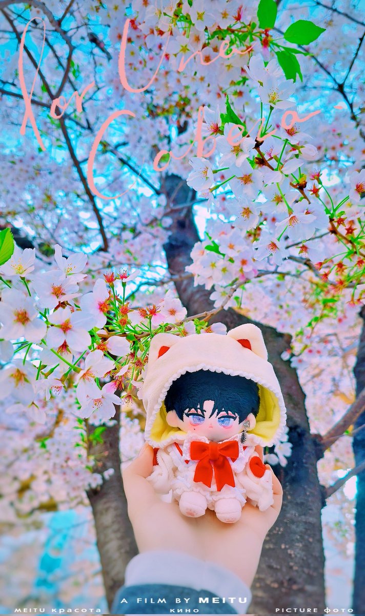 쉬어가는 미르ฅ✧ tweet media