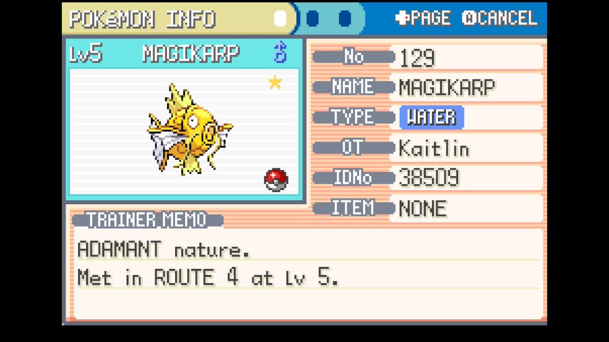 Kaitlin Nakano @ 🕸Forever lost in Toto-rak tweet media