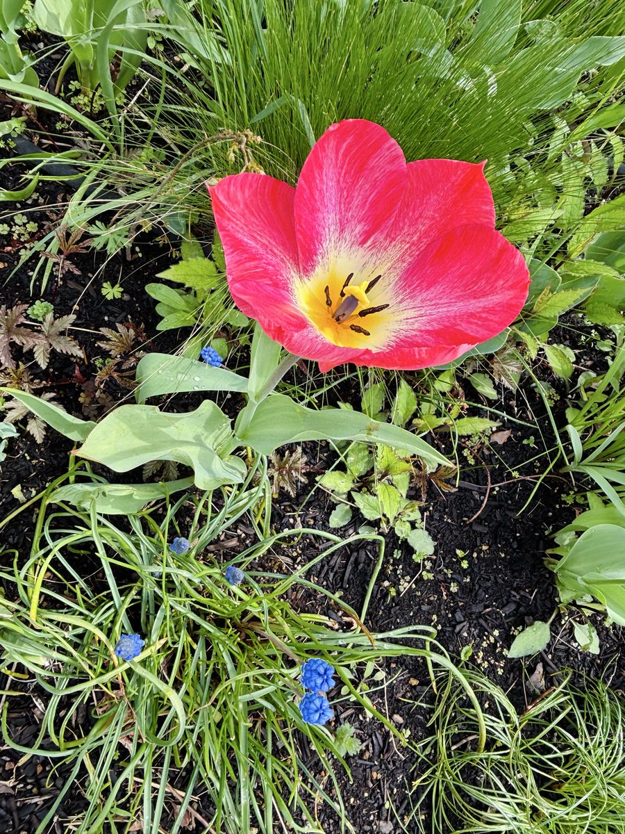 sorte✴︎ tweet media