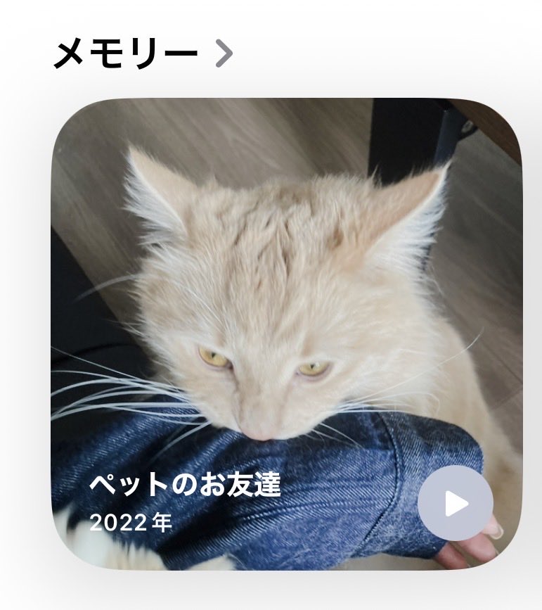 きすけ太郎 tweet media