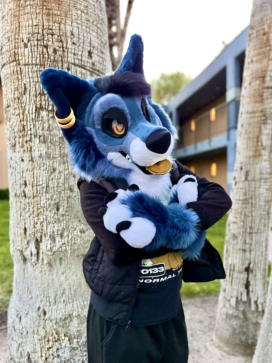 🌴✨Scout Pawfoot 🔜FWA, FURLANDIA, GALACTIC CAMP tweet media