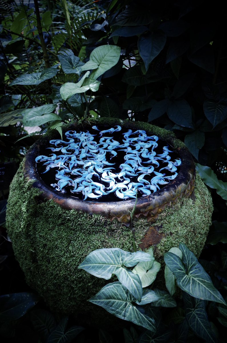 yasu l 巴波重工 tweet media