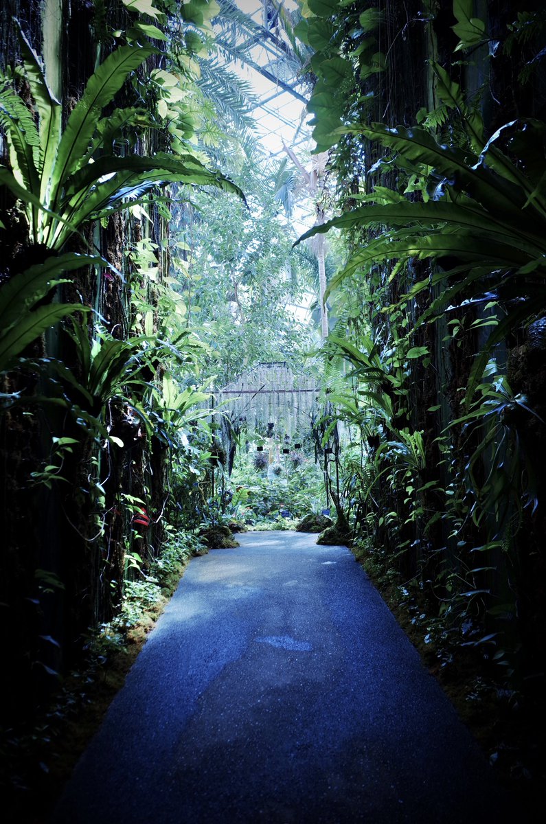 yasu l 巴波重工 tweet media