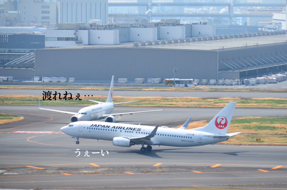 もも JALサ部員*⋆✈ tweet media