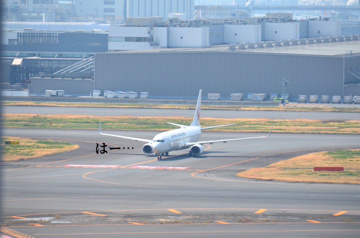 もも JALサ部員*⋆✈ tweet media