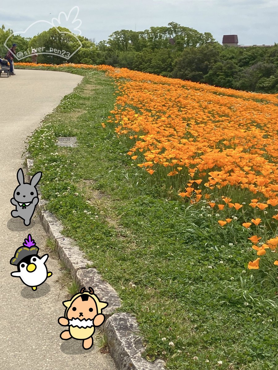 シルバーくん tweet media