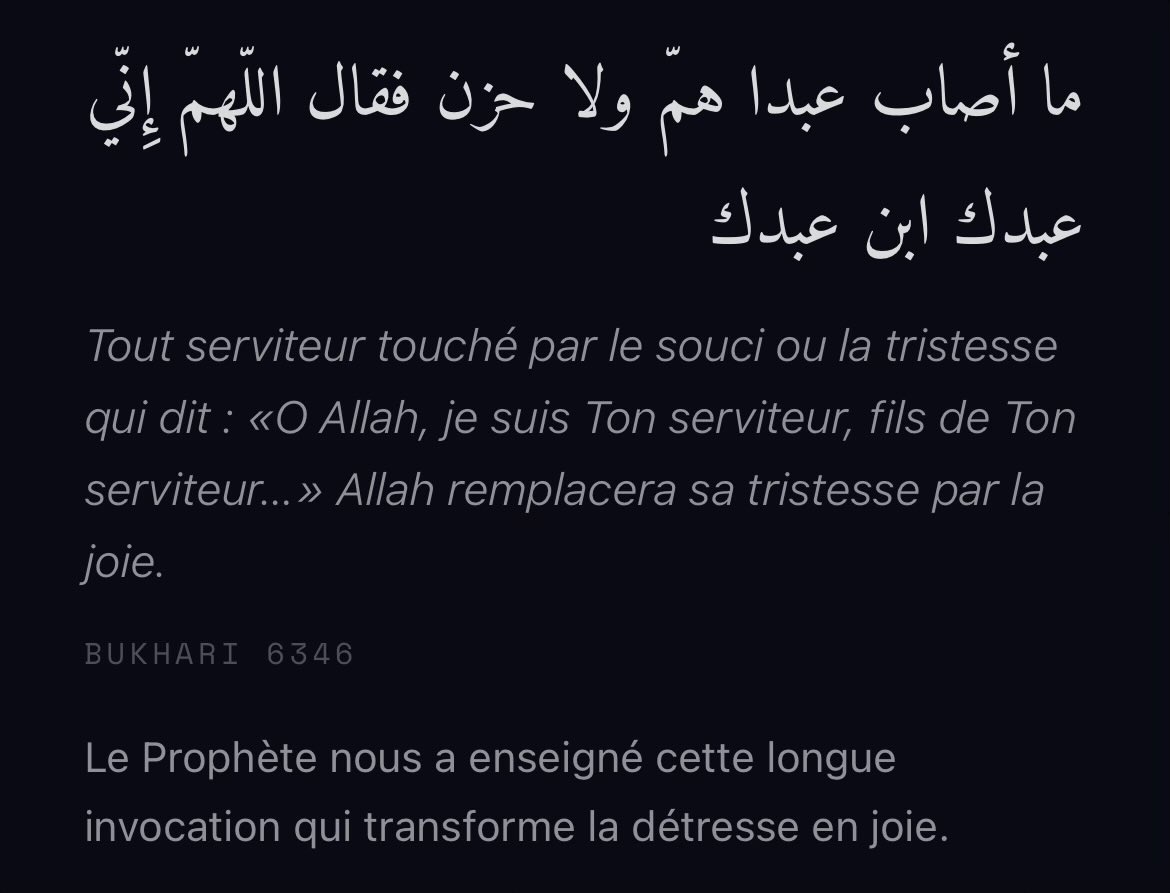 Al-Isra ⟡ tweet media