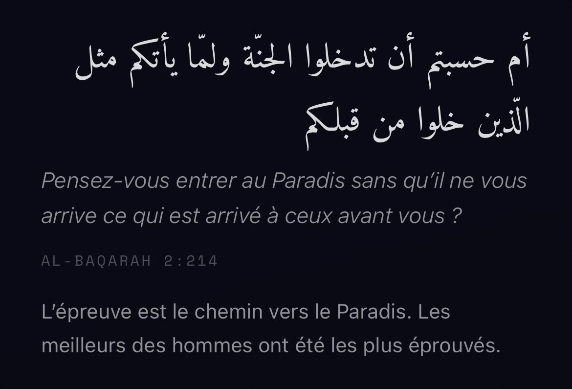 Al-Isra ⟡ tweet media