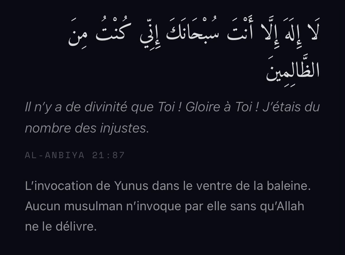 Al-Isra ⟡ tweet media