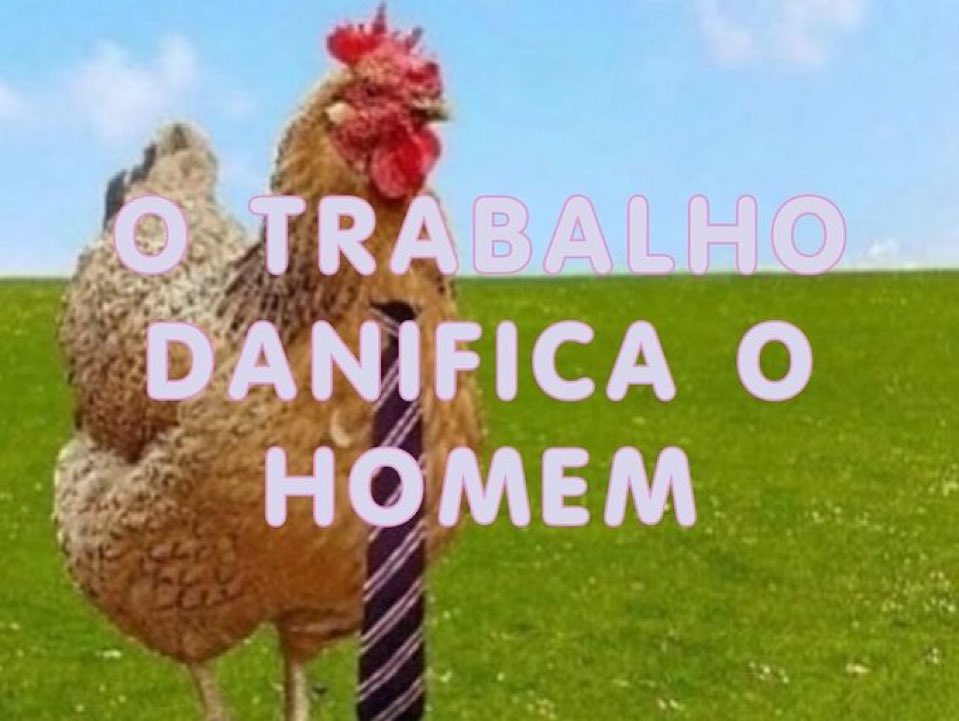 ms. cønfusion tweet media