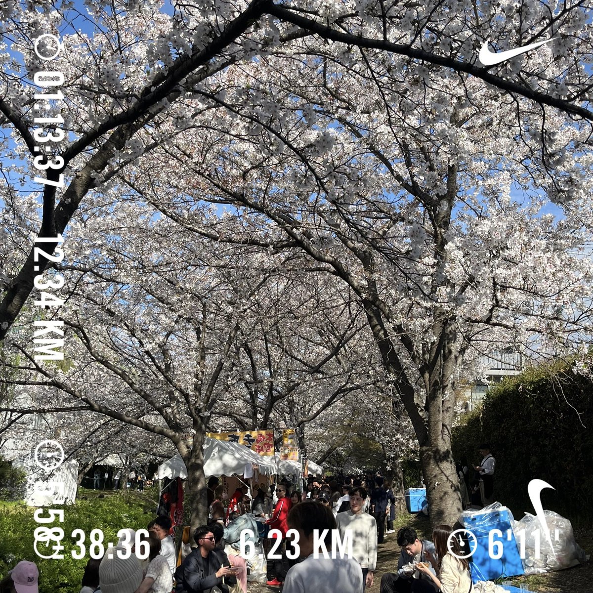 ryusay41's tweet photo. 4月1走目ラン！
御所→平安神宮→蹴上→円山公園→伏見の順でお花見ラン🌸
満開かなと思ったら、意外と葉桜になっててびっくり
#幡ヶ谷再生大学陸上部
#幡ヶ谷再生大学陸上部京都
#花見ラン https://t.co/eybA20aECE