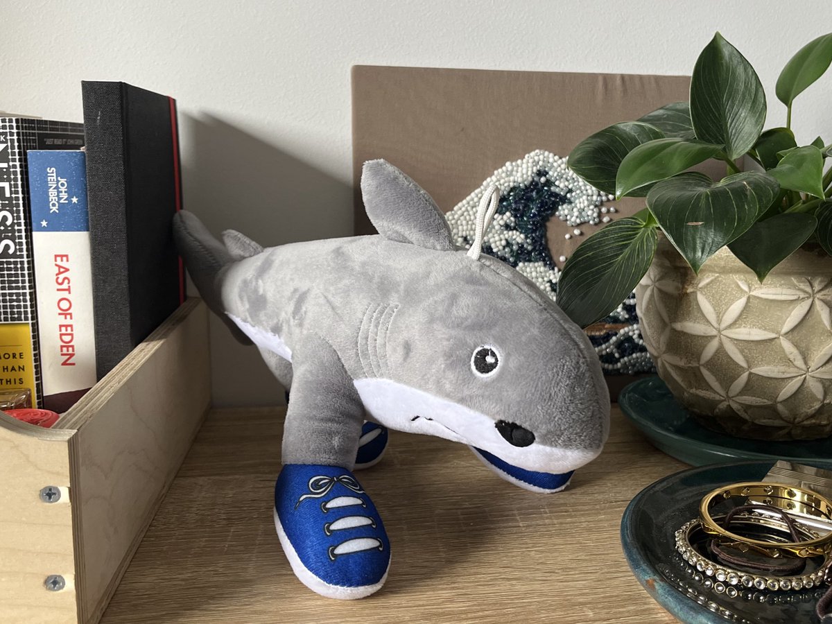 x- ella🦎 tweet media