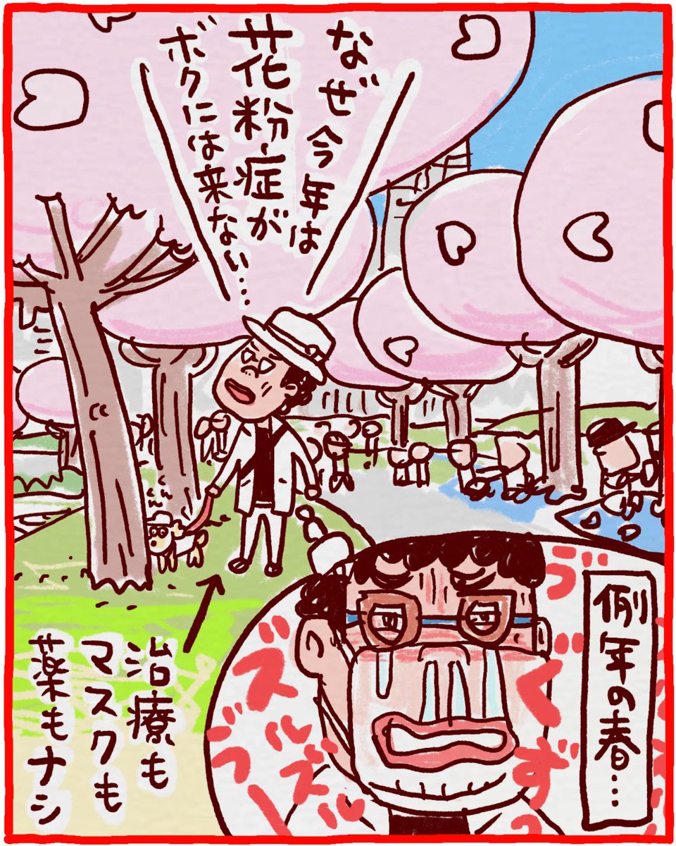 happihiji's tweet photo. 思い起こせば小学生の頃春先になると鼻水が止まらず耳鼻科に行って鼻炎と診断されて（思えばあれは花粉症）そして特にオッサンになってからのこの季節は絶賛鼻水止まらず目やら耳やらあっちこっち痒いやらで薬必須やったのに、どーいうことでしょう。
#へなへな日常描画劇場 #花粉症 #桜 #春 https://t.co/r2I6HN8HSX