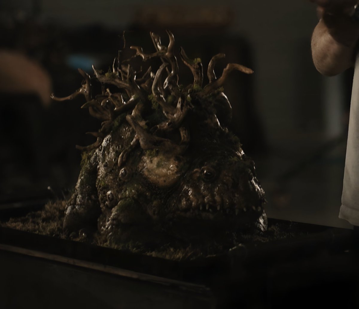 Caco Cardassi tweet media