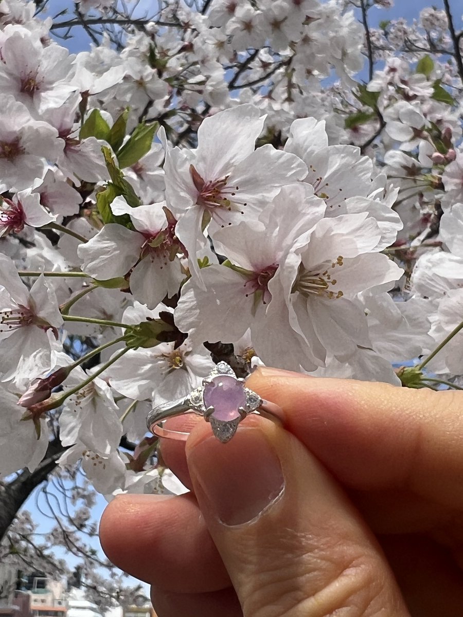 へとへとさん tweet media