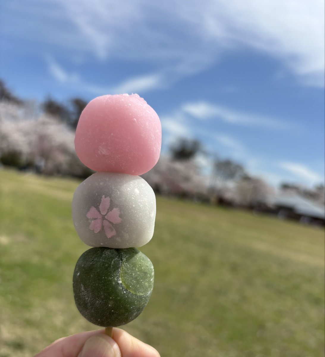 こんにちは😃🐈

花🌸より団子🍡😋💕💕💕

＃大杉屋惣兵衝
＃上花見団子🍡