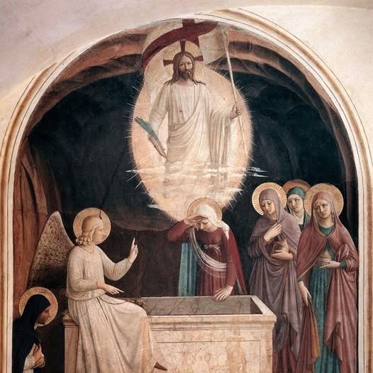 FIRMES 🇪🇨 tweet media