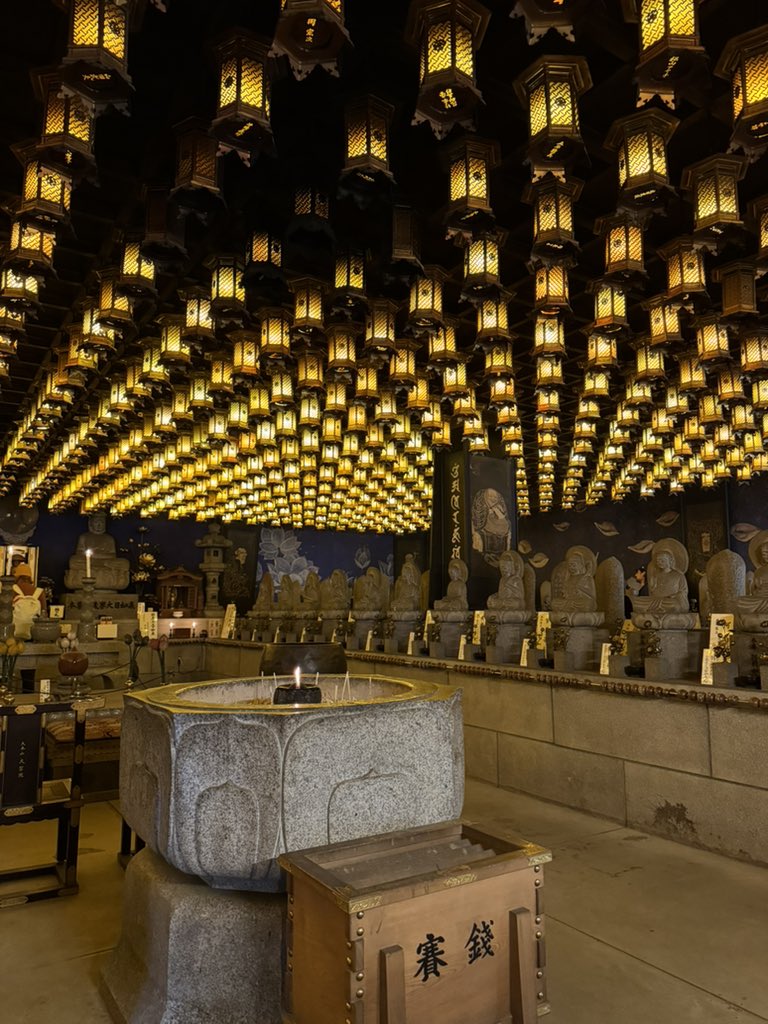 バールのようなもの🐾 tweet media