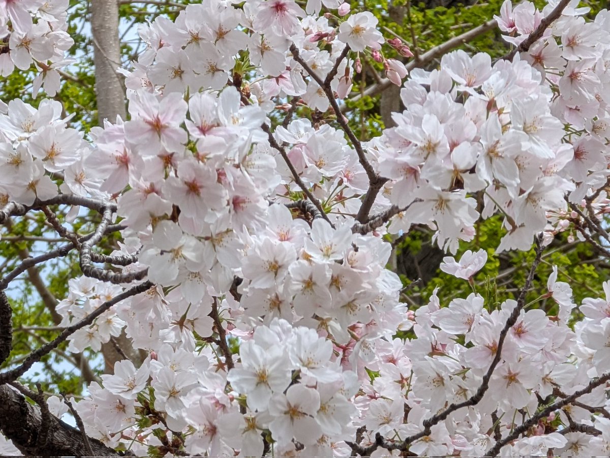 taraco🍊🧂 tweet media