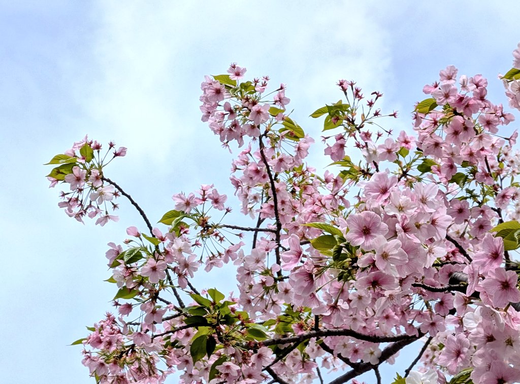 taraco🍊🧂 tweet media