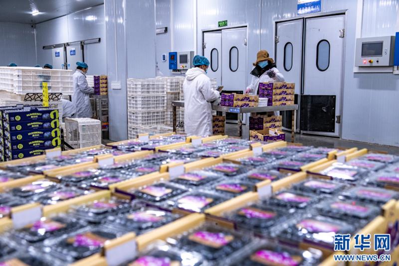 Beijing Daily tweet media