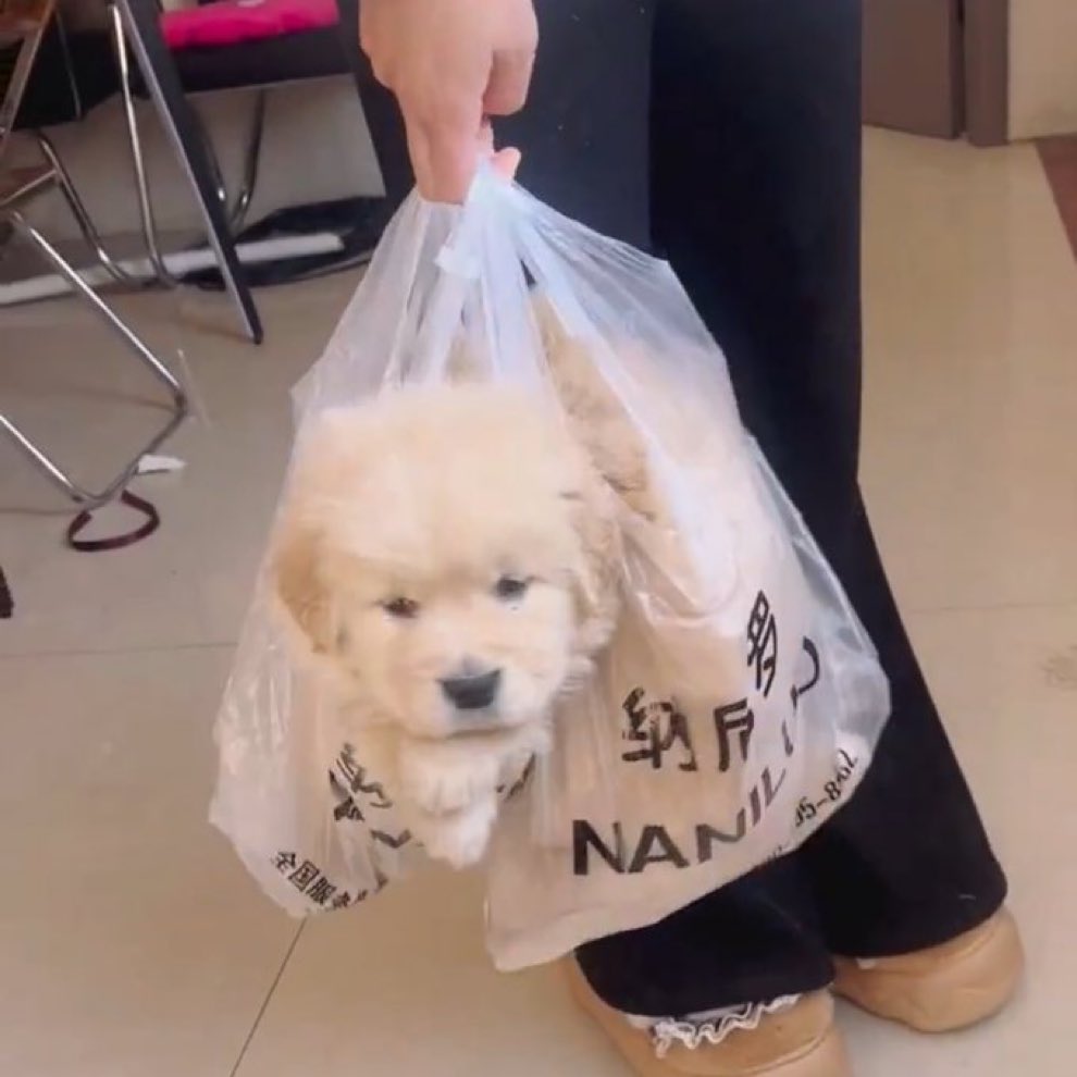 bit ☘︎ tweet media