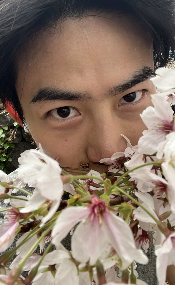 tria 🍒 tweet media