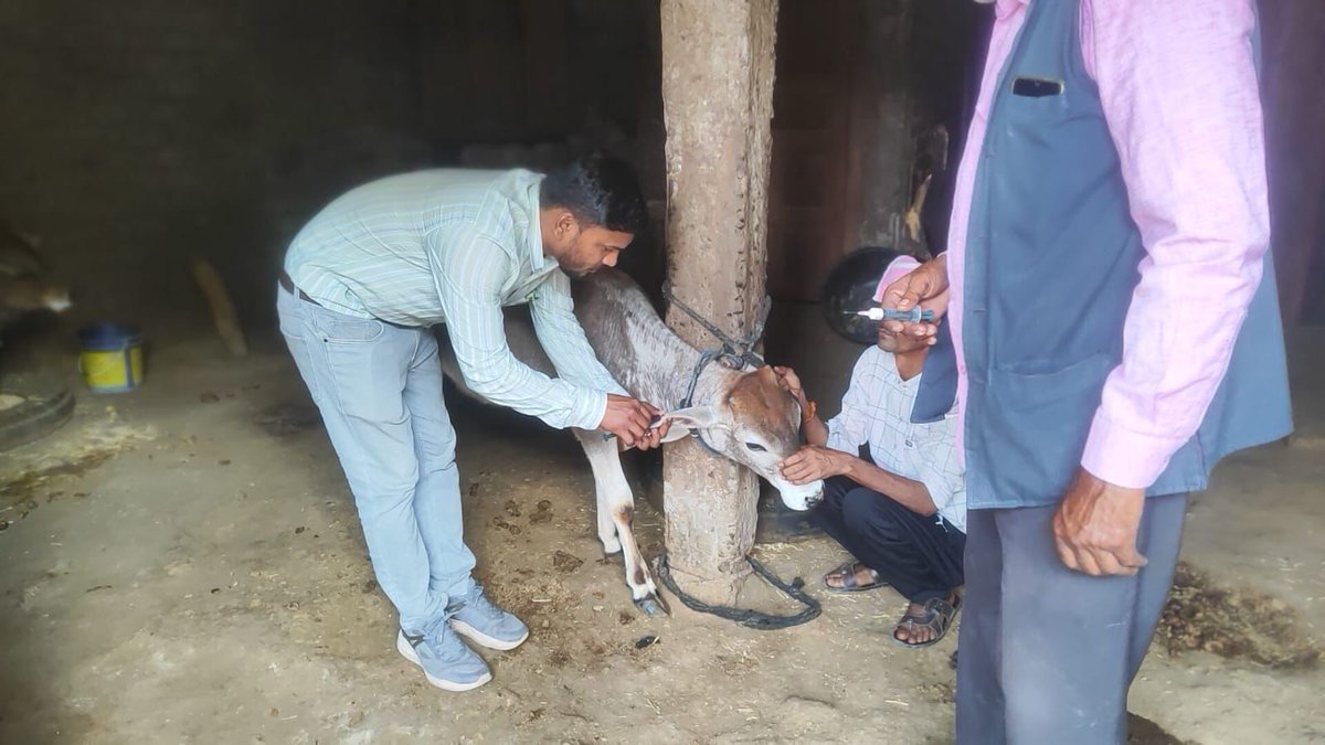 PRO JS Sehore tweet media