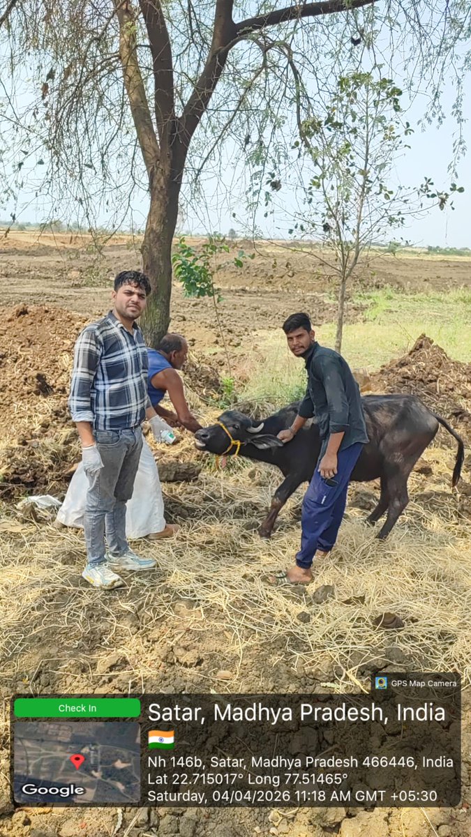 PRO JS Sehore tweet media