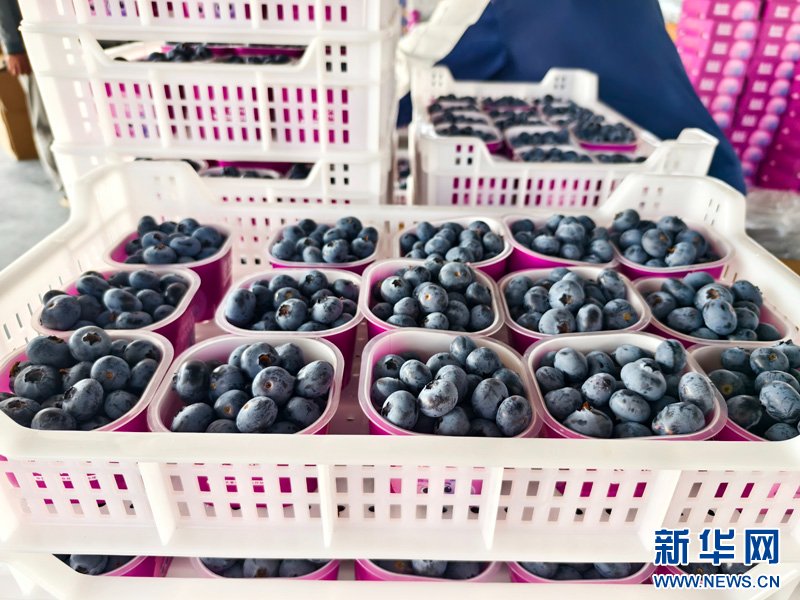 Beijing Daily tweet media