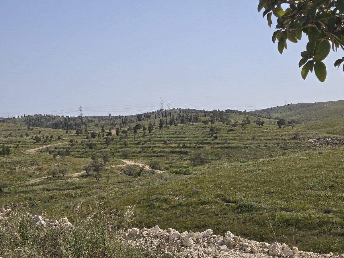 Yoav Kaufman 🇮🇱 tweet media