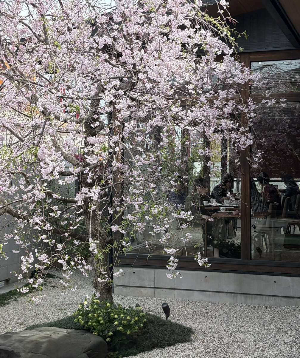 ユリ@モフ鉄No.33 tweet media