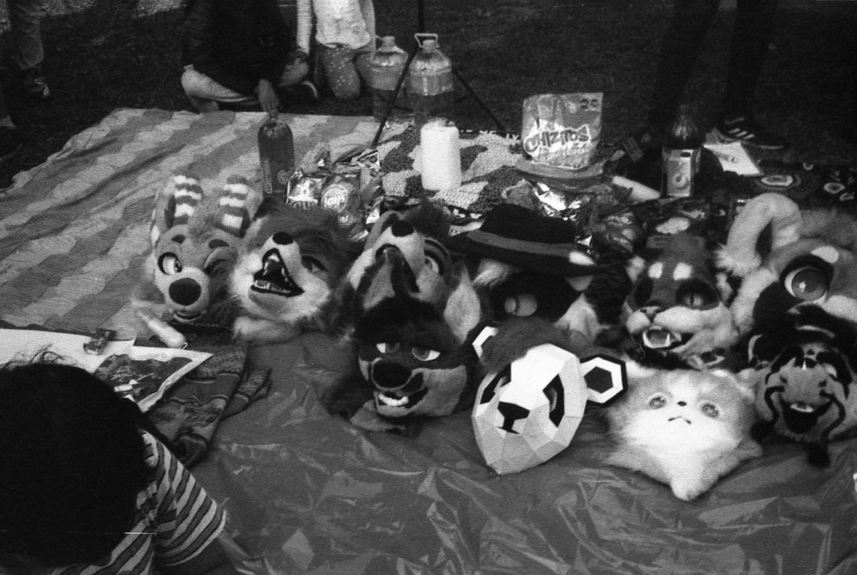 Shyte / Ronan tweet media