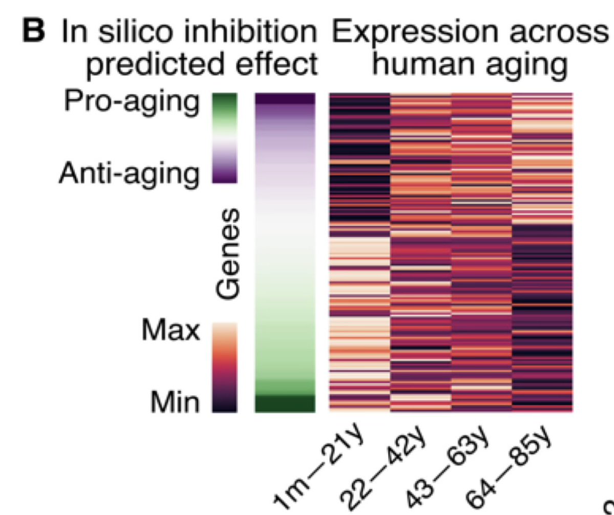 David Sinclair tweet media