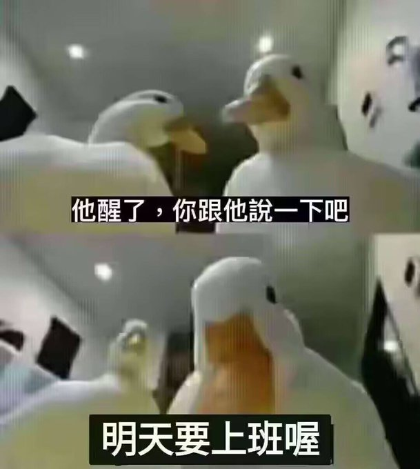 赤い白 台灣vtuber 大學準考生 tweet media