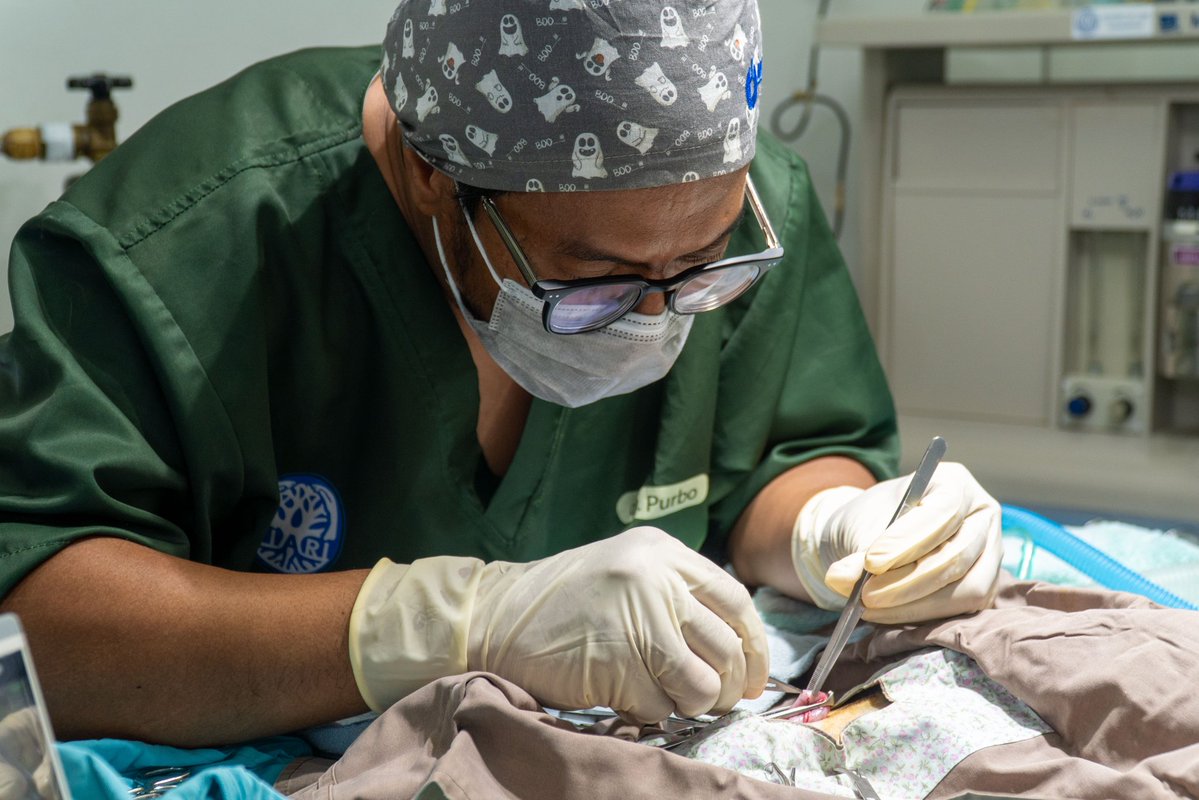 Panggil aja Purbo tweet media