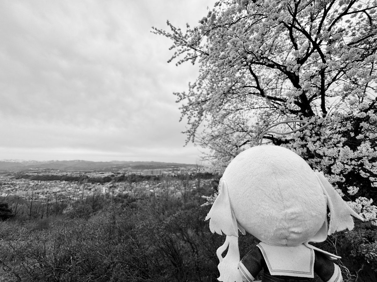 うゆ💎 tweet media