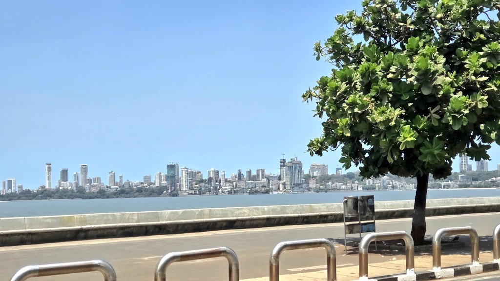 Zucker Doctor tweet media