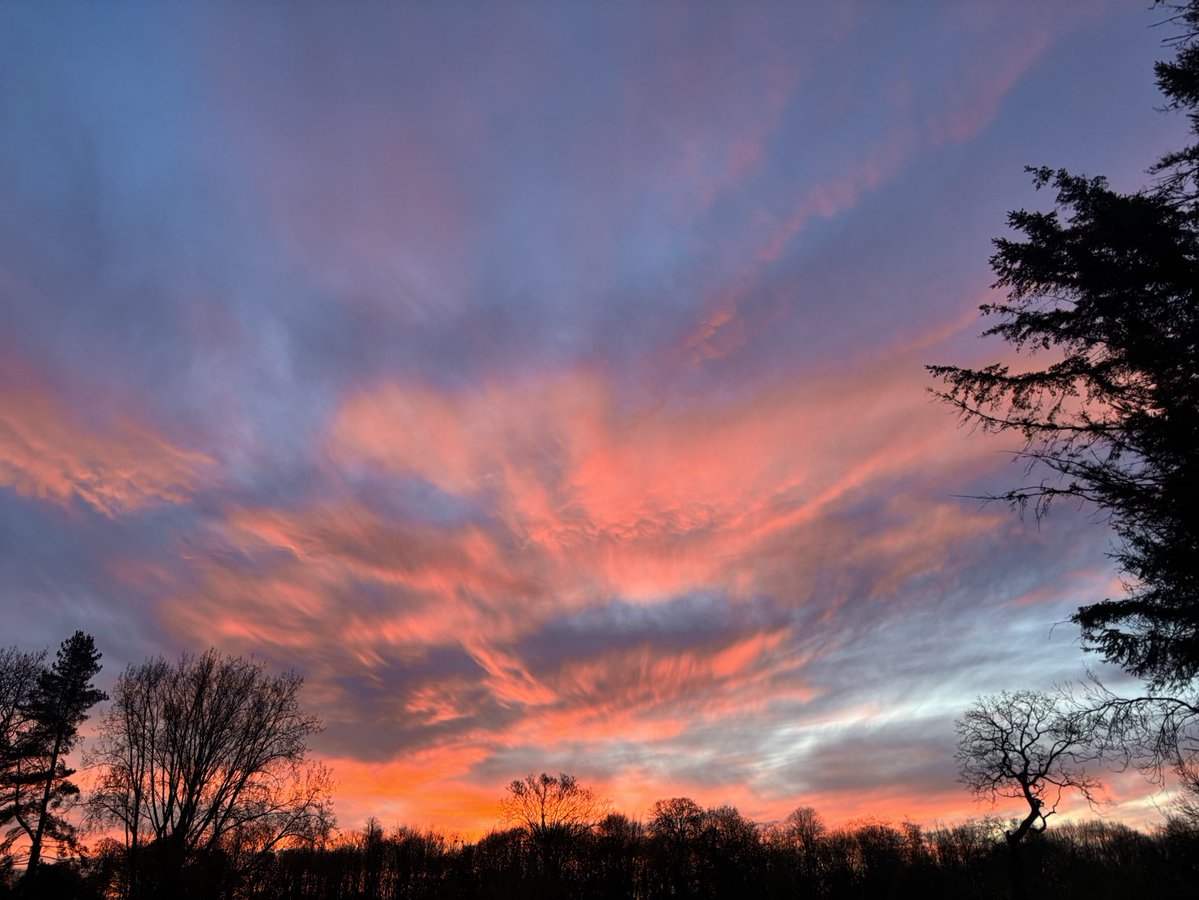 DevilMayCare tweet media