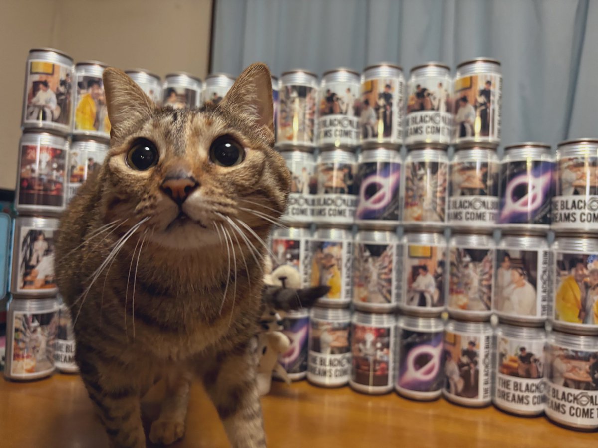 🐈⬛みみみ🐈⬛ tweet media