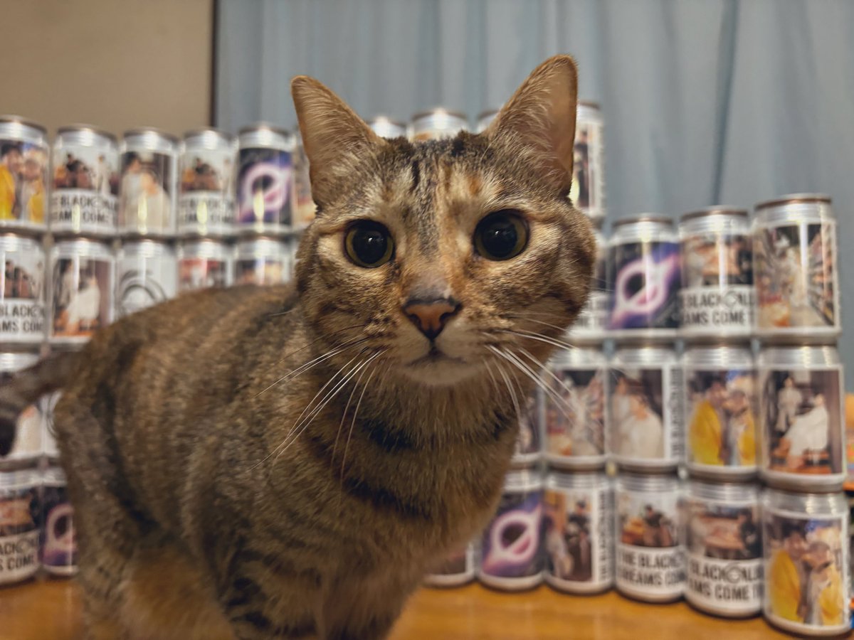 🐈⬛みみみ🐈⬛ tweet media